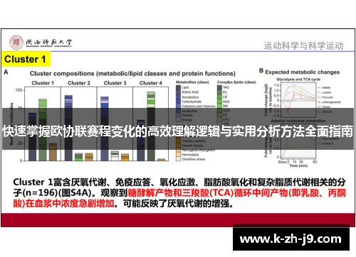 快速掌握欧协联赛程变化的高效理解逻辑与实用分析方法全面指南